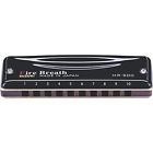 1193-031 186 Wrights Velvet Scroll 683203280068