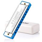 4334439422 Yyliang Baby Toys Standard Hole Harmonica Polyphony Blues 613706970487