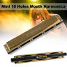 Th1293 4894707079843 Unbranded Gold Hole Tone Harmonica Polyphony Key Of