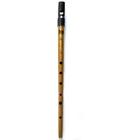 634041452094 Clarke Sweetone Whistle Gold