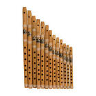 Dobani Whcs Bamboo Whistle Set New 844731013232