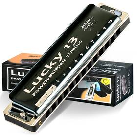 East Top 726312273344 Lucky 13 Bass Plus Blues Harmonica Holes Diatonic Harp Mouth Organ Profess