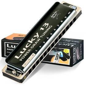 East Top 726312273351 Lucky 13 Bass Plus Blues Harmonica Holes Diatonic Harp Mouth Organ Profess