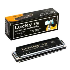 East Top 726312273405 Lucky 13 Bass Plus Blues Harmonica Holes Diatonic Harp Mouth Organ Profess