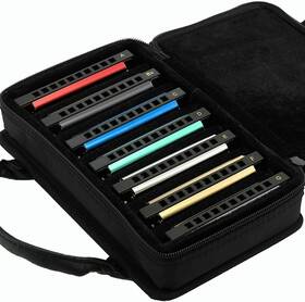 36476 Easttop Mouth Organ Harmonica Set Diatonic Of7 10holes Blues Harp