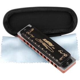 5263418777 Eison Easttop Professional Harmonica Blues Key Of C 10 Hole 20 Tone Heavy Duty With