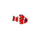 Foc-9172 Focalink Hole Pendant Ocarina Red Nemo Fish Design Ceramic Neckl