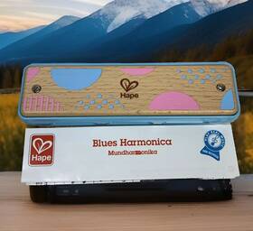 E8917 Hape Blues Harmonica 10 Hole Wooden Musical Instrument Beginner Blue/pink 0488
