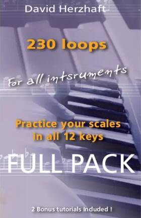 230loops Harmonica School 230 Loops Playalong Tracks For Practice - Free Us Shipping