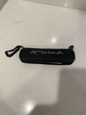 Hohner 048667010093 Echo Celeste Harmonica Working