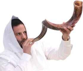 Holy Voice 742521097502 Kosher Kudu Shofar Horn From Israel 28 Inch -32 Brown Black