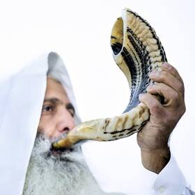 Holy Voice 793869182849 Kosher Ram Shofar Horn From Israel 12 Inch -14 Natural