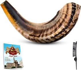 Rh-wkm7-pt4j King David Shofars Shofar Horn Instrument Ram Angels Musical 18-20 Full Set
