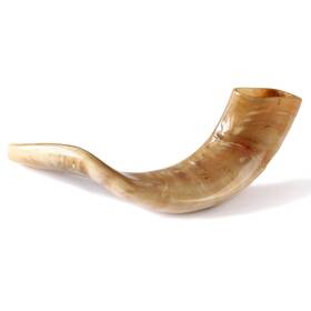 Nana Gifts 290019198451 Authentic Ram Horn Shofar From Israel Clear Sound Polished Beige