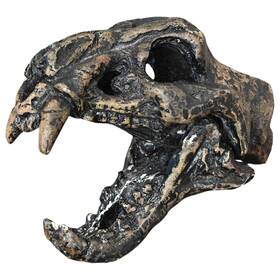 Adw-8 Peuiox Aztec Death Whistle Loudest Authentic Human Sounding Screams - Bone