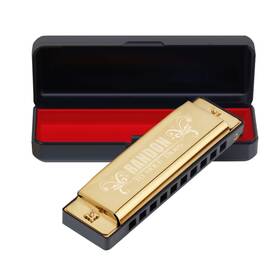 Randon 718774361998 Gold Harmonica Key Of C 10 Holes Diatonic Harmonicas For Adults/kids/beginne