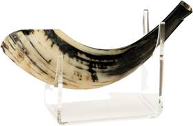 Jud-0661 Rite Lite Acrylic Shofar Stand Clear Rosh Hashanah Jewish Ivory Black