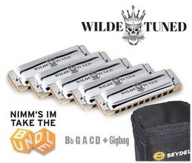 16220 Seydel Set 1847 Classic - Wilde Rock Tuning Of 5 Free Us Shipping