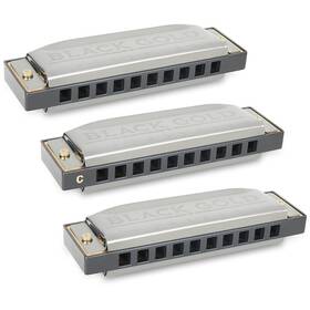 Silver Creek 888366078693 Black Gold Harmonica 3 Pack - Keys A C And G