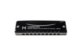 Ha-20-f Suzuki 939334496301 Hammond Promaster Harmonica. Key Of F