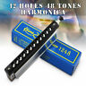 Twb7695311 Holes Tones Key Chromatic Harmonica Mouth For Beginners