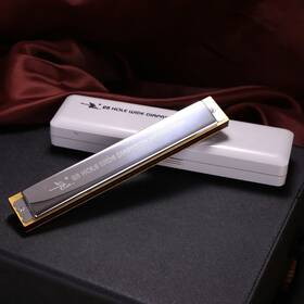 Yueko 778862649919 Swan 28-hole Wide Range Playing Diatonic Harmonica Key Of C With Standard Har