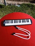 Eastar Melodica Mouth Piano Black 37 Keys. Fixed Price $17.99.