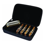 Blues Harp 5-PIECE Diatonic Harmonica Bundle With Case Stainless Steel. Fixed Price $255.99.