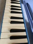 Bestler Melodica 32 Key. Blue With Carrying Case. Vintage. Open Box Unused. Fixed Price $40.00.