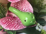 Focalink 6 Hole Soprano Green Pendant Ceramic Ocarina, Dexterous & Great Gift!. Fixed Price $29.95.