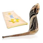 Holy Voice Kosher Ram Shofar Horn From Israel 14"-16" Musical With. Fixed Price $52.21.