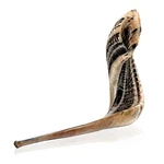 Holy Voice Kosher Ram Shofar Horn From Israel 16"-18" Traditional. Fixed Price $55.70.