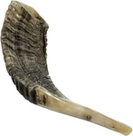 Nana Gifts Authentic Ram Horn Shofar From Israel, Clear Sound, Polished, 12''.... Fixed Price $37.25.