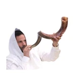 Kosher Kudu Shofar Horn From Israel 28 -32 Traditional Half. Fixed Price $131.31.