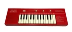 Vtg Radio Shack Programmable Electronic Organ +8 Preloaded Songs Tandy. Fixed Price $39.99.