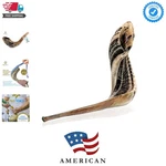 Kosher Ram Shofar Horn From Israel 14"-16" Traditional Half Polished, Holy La.... Fixed Price $65.98.