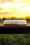 Bee Harmonica 5 Inch 16 Hole Silver With Instructions. Fixed Price $13.99.