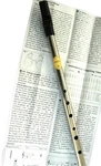 Feadog Tin Whistle Nickle Key Of "d". Fixed Price $29.40.