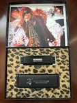 Aerosmith Steven Tyler Signature Series Limited Edition Hohner Harmonica. Fixed Price $125.00.