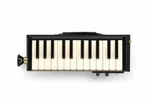 Hammond PRO-24B Keyboard Harmonica Acoustic Guitar Bus Model Ems. Fixed Price $206.47.