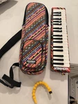 Hohner Airboard Melodica Keyboard Wind Instrument 32 Case Mouthpiece Piano. Fixed Price $79.99.