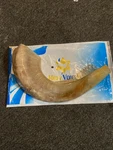 Holy Voice Kosher Ram Shofar Horn From Israel 12"-14" 12-14, Natural. Fixed Price $25.00.