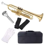 Aileen Lexington Standard Gold Bb Student Model Trumpet Includes Hard Case, Clea. Fixed Price $432.99.