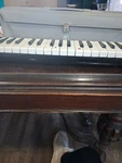 Hohner Student 32 Melodica Musical Instrument With Carrying Case. Fixed Price $7.50.