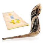 Holy Voice Kosher Ram Shofar Horn From Israel 14"-16", Brown,black. Fixed Price $62.99.