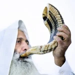 Kosher Ram Horn From Israel Traditional Half Polished Shofar, Holy La. Fixed Price $42.70.