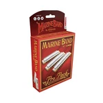 Hohner Harmonica (3P1896BX). Fixed Price $142.56.