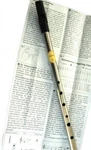 Feadog Tin Whistle Nickle Key Of "d". Fixed Price $31.52.